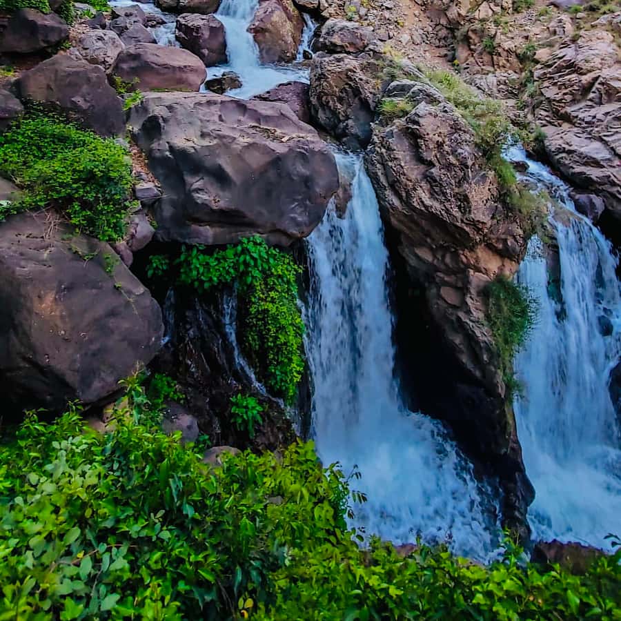 From Marrakech: Day Trip to Anima Garden and Imlil Valley - Anima Garden: plants, big art names, and lots of space to wander