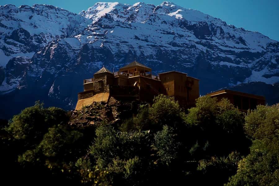 From Marrakech: Day Trip to Atlas Mountains - Women’s argan oil cooperative: what the stop is really about