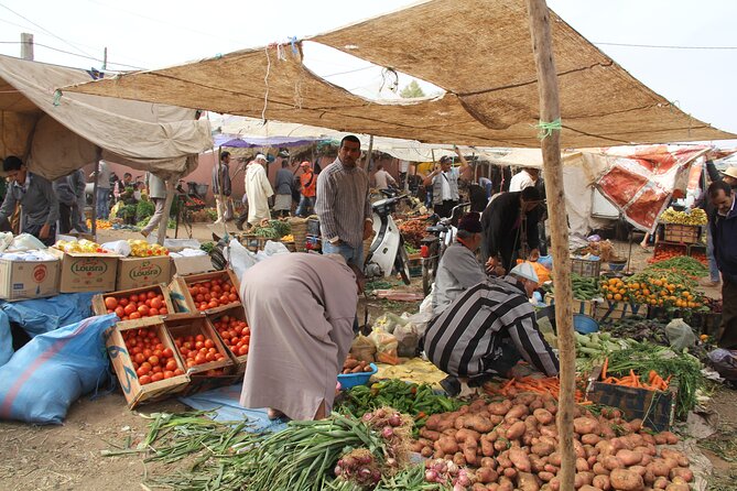From Marrakech : Day Trip to Atlas Mountains with Camel Ride - Getting to the High Atlas: the Drive That Sets Expectations