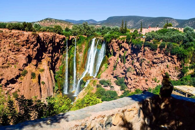From Marrakech: Day Trip to Ouzoud Waterfalls Guided & Boat Ride - Marrakech return and downtime: how to spend the last hours