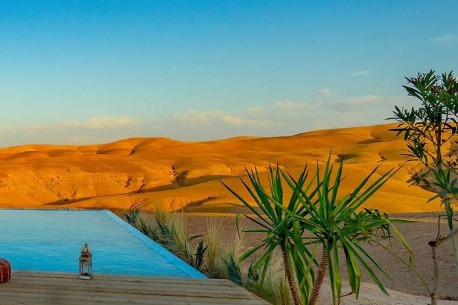 From Marrakech: Desert Agafay And Atlas Mountains Day Trip - Lunch, Mint Tea, and Camel Time: What Makes the Experience Feel Complete