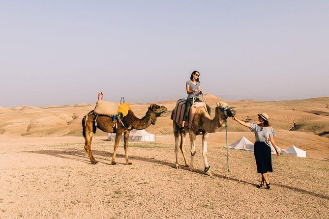 From Marrakech: Desert Agafay And Atlas Mountains Day Trip - Who Should Book This Agafay + Atlas Day Trip