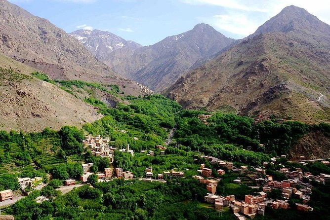 From Marrakech: Desert Agafay & Atlas Mountains Full-Day Trip - Berber family lunch: what’s included and why it matters