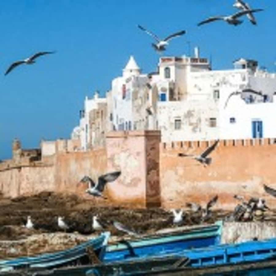From Marrakech : Essaouira 01 day trip & argan cooperative - Why Essaouira Works as a One-Day Escape From Marrakech