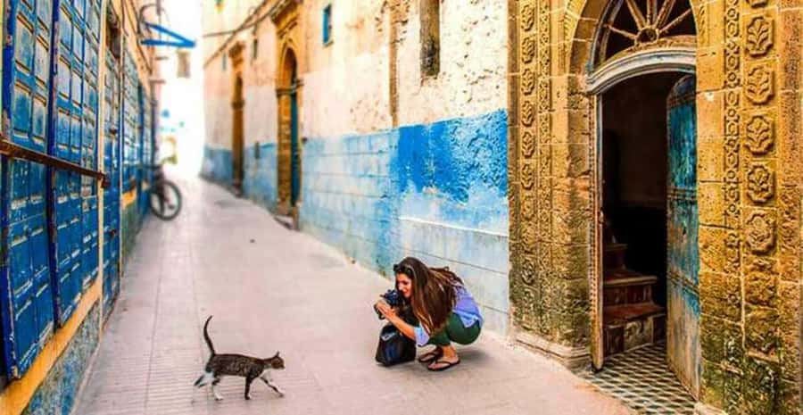 From Marrakech : Essaouira 01 day trip & argan cooperative - The Road Time: Transfers, Café Break, and a Waterfall Stop
