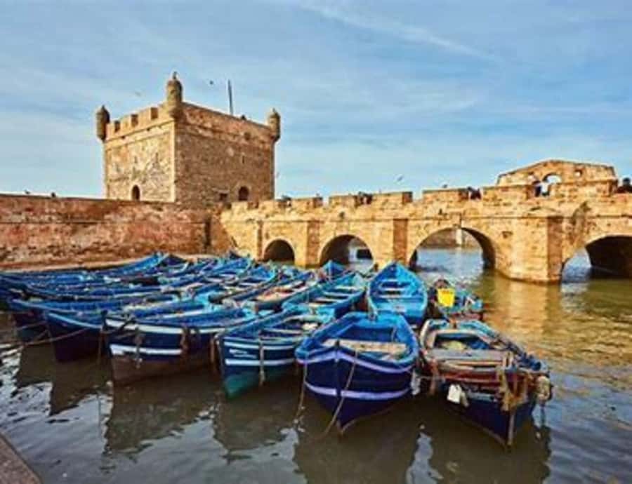 From Marrakech : Essaouira 01 day trip & argan cooperative - Argan Oil Workshop and Women’s Cooperative: What You’ll Actually See