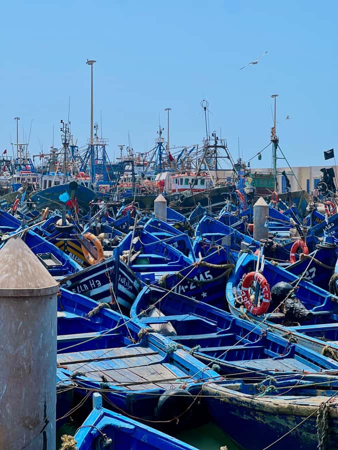 From Marrakech: Essaouira Coastal City Day Trip - From Marrakech to the Atlantic: what the ride feels like
