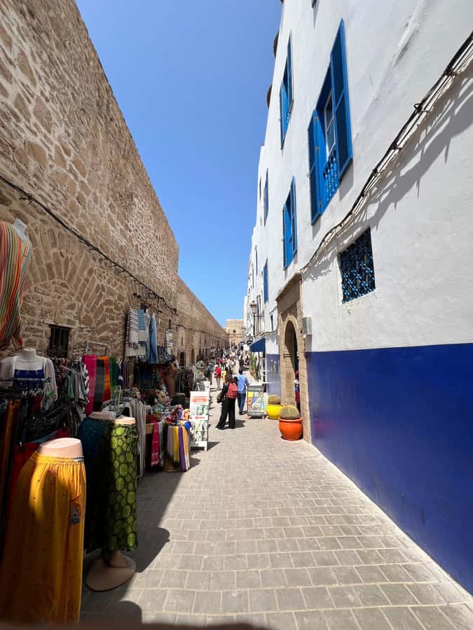 From Marrakech: Essaouira Coastal City Day Trip - The women’s argan oil cooperative: the stop that adds meaning