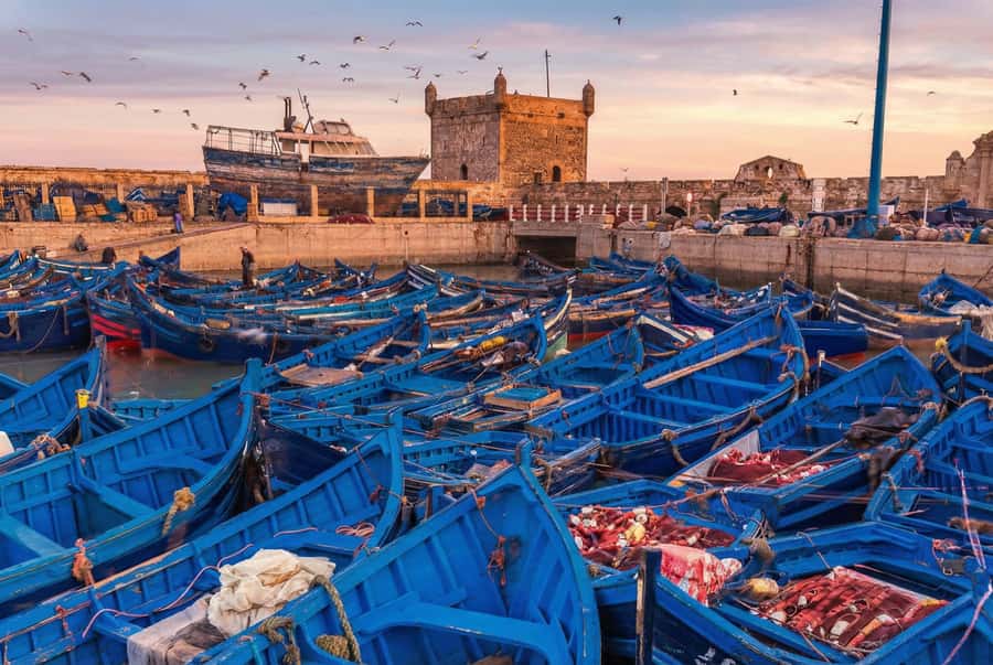 From Marrakech: Essaouira Coastal Escape with Lunch - Viewpoint Stop for Tea and a Break: Small Pause, Big Help
