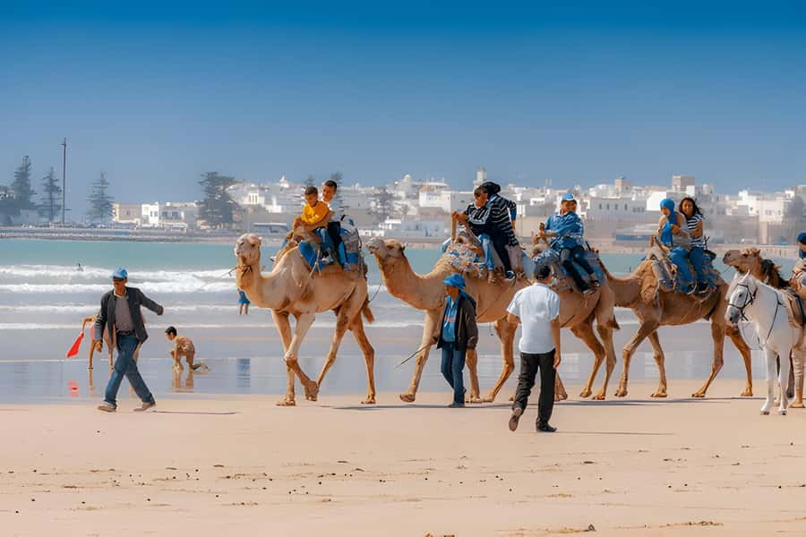From Marrakech: Essaouira day Trip with camel, horse & quad - Beach time plus optional camel, horse, or quad rides