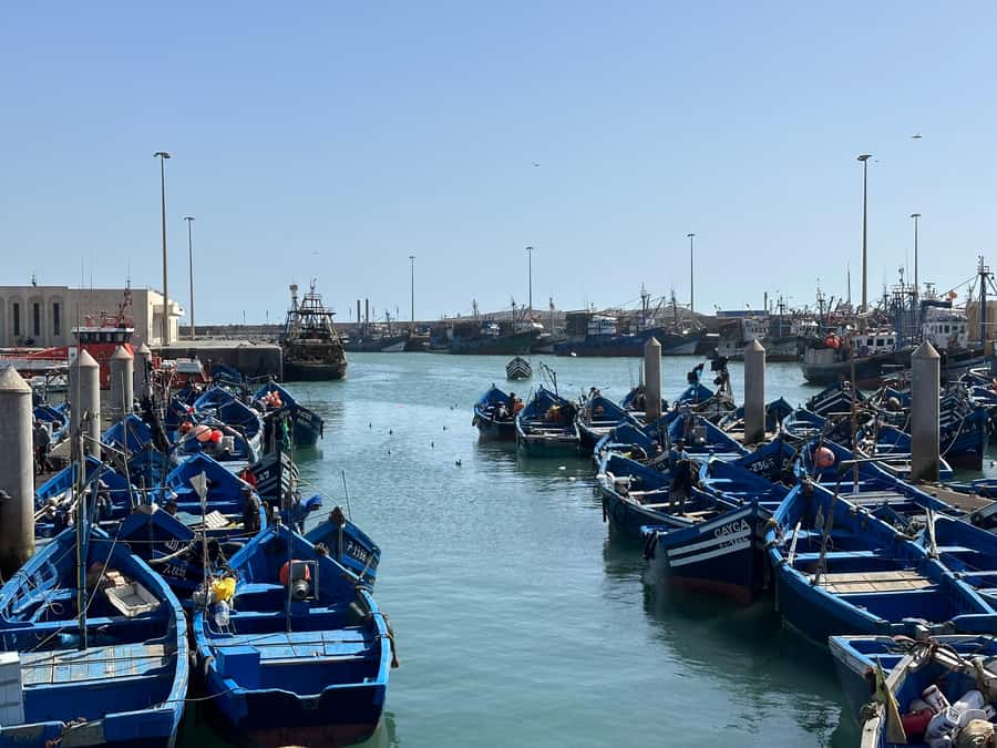 From Marrakech: Essaouira day Trip with camel, horse & quad - Price and time: what you’re really paying for
