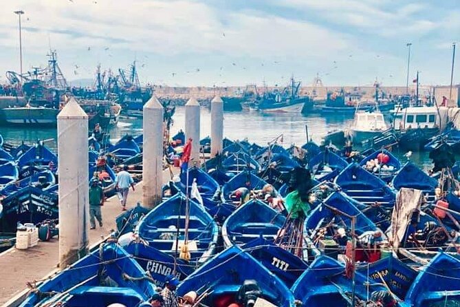 From Marrakech: Essaouira Full-Day Trip - Marrakech to Essaouira: 12 Hours That Move Fast