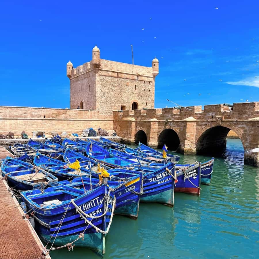 From Marrakech: Essaouira Full day trip, beach and History - Price and Logistics: What You’re Paying For at $16