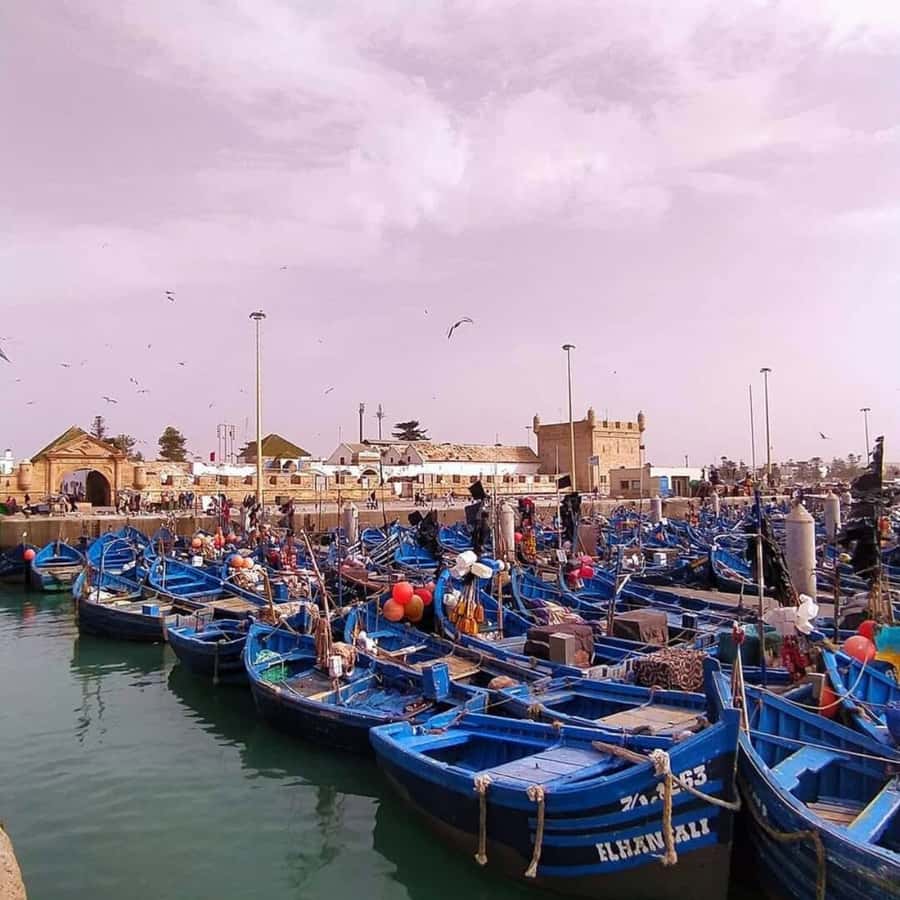 From Marrakech: Essaouira Full day trip, beach and History - Entering Essaouira’s UNESCO Medina: Crafts, Souks, and Street Energy