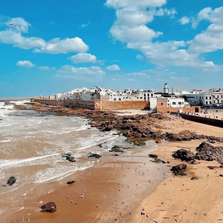From Marrakech: Essaouira Full day trip, beach and History - Lunch on Your Own: How to Eat Without Losing the Day