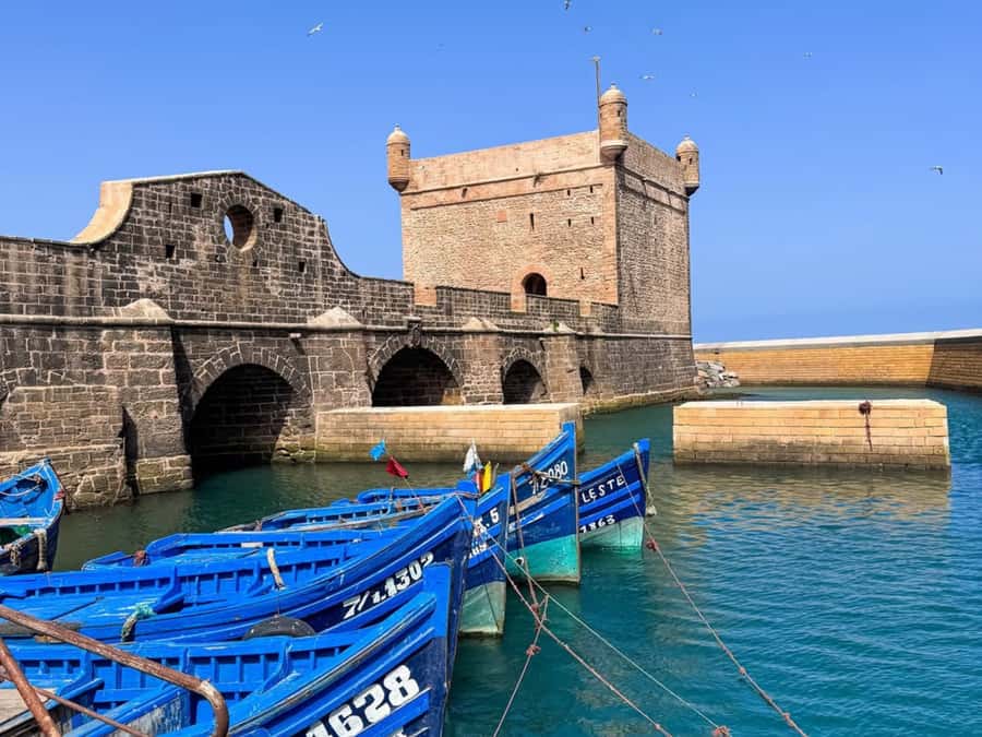 From Marrakech: Essaouira Full day trip, beach and History - The Air-Conditioned Ride From Marrakech (With Real Stops)