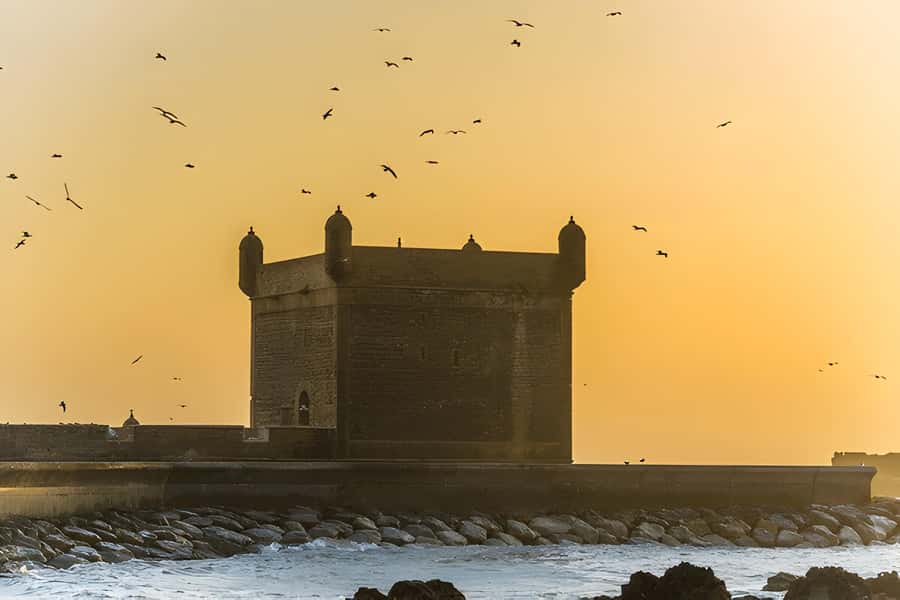 From Marrakech: Essaouira Full-Day Trip with Activities - Atlantic beach time plus Portuguese ramparts: the calmer payoff
