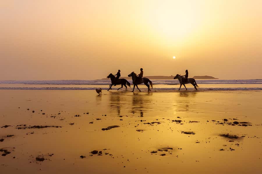 From Marrakech: Essaouira Full-Day Trip with Activities - Who this trip suits best (and who should think twice)