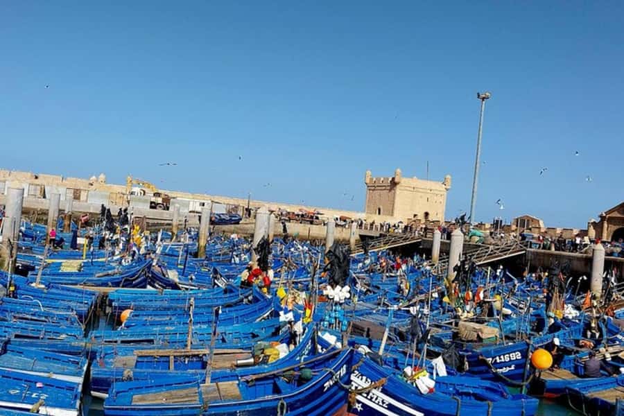 From Marrakech: Essaouira Private Full-Day Trip - Key moments that make this trip worth it