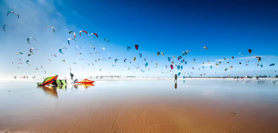 From Marrakech: Essaouira Private Full-Day Trip - The drive to Essaouira: orange groves, olive trees, and Argan views