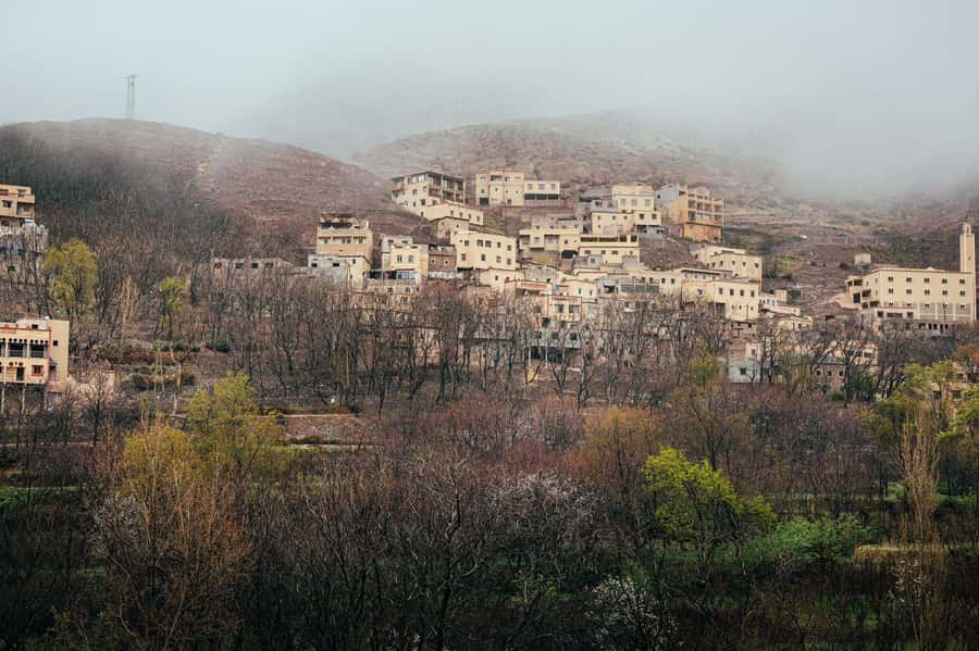 From Marrakech: Family/Friends Day Trip To Atlas Mountains - Berber Women’s Cooperative: Argan Oil Breakfast and Mint Tea