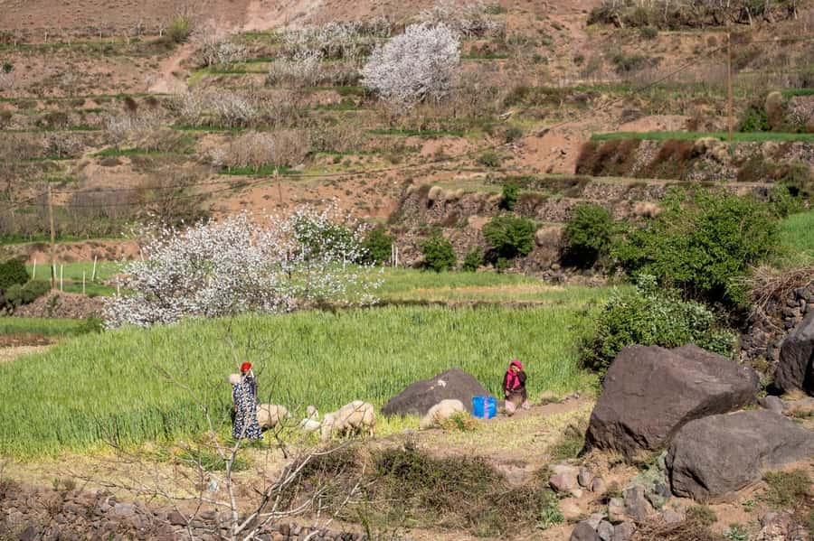From Marrakech: Family/Friends Day Trip To Atlas Mountains - Traditional Lunch at Your Host Family’s House
