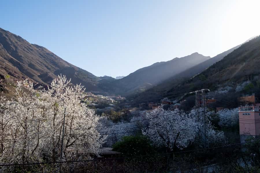 From Marrakech: Family/Friends Day Trip To Atlas Mountains - Toubkal National Park Area: Serenity Without the Big-Group Pressure