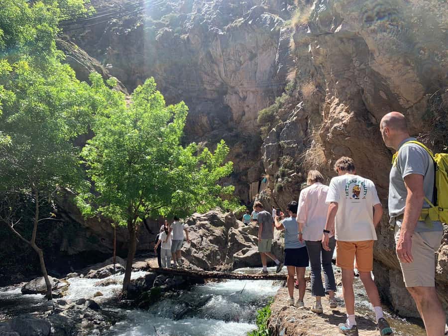 From Marrakech: Family/Friends Day Trip To Atlas Mountains - Price and Value: Why $68 Can Make Sense Here