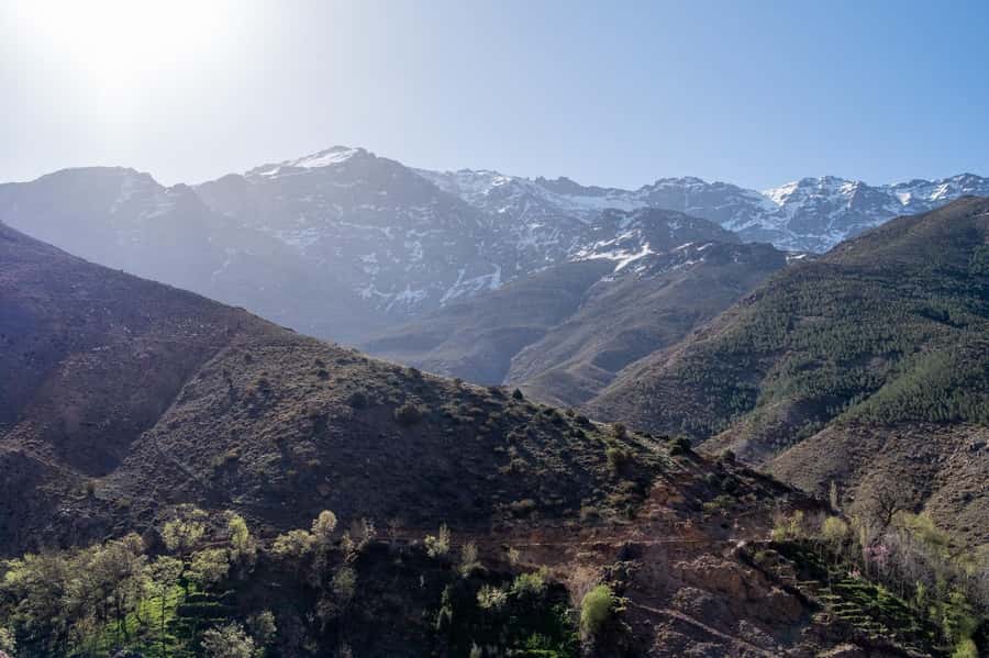 From Marrakech: Family/Friends Day Trip To Atlas Mountains - Should You Book This Atlas Mountains Day Trip?