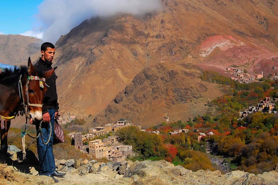From Marrakech: Full-Day Atlas Mountain Berber Tour - Key things to know before you go