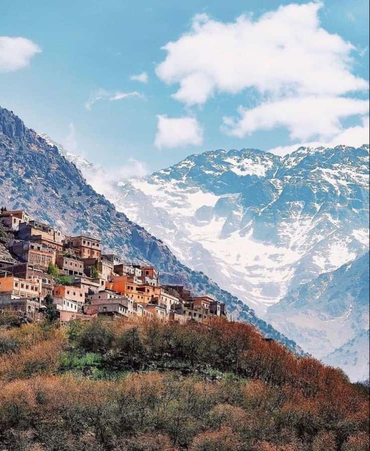 From Marrakech: Full-Day in the Atlas Mountains with Lunch - Key things I’d plan around