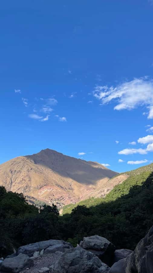 From Marrakech: Full-Day in the Atlas Mountains with Lunch - Lunch in a Berber home: tagine-style comfort with a view