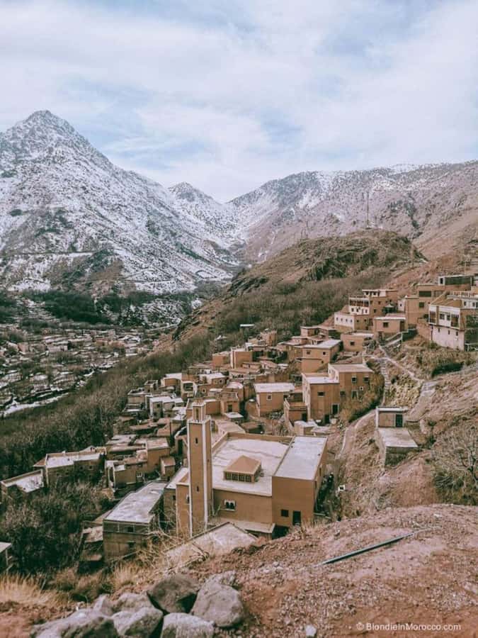 From Marrakech: Full-Day in the Atlas Mountains with Lunch - The women’s cooperative breakfast: fuel with a purpose