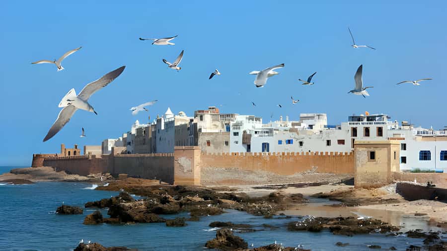 From Marrakech : Full Day Trip to Essaouira - The big idea: why this day trip makes sense