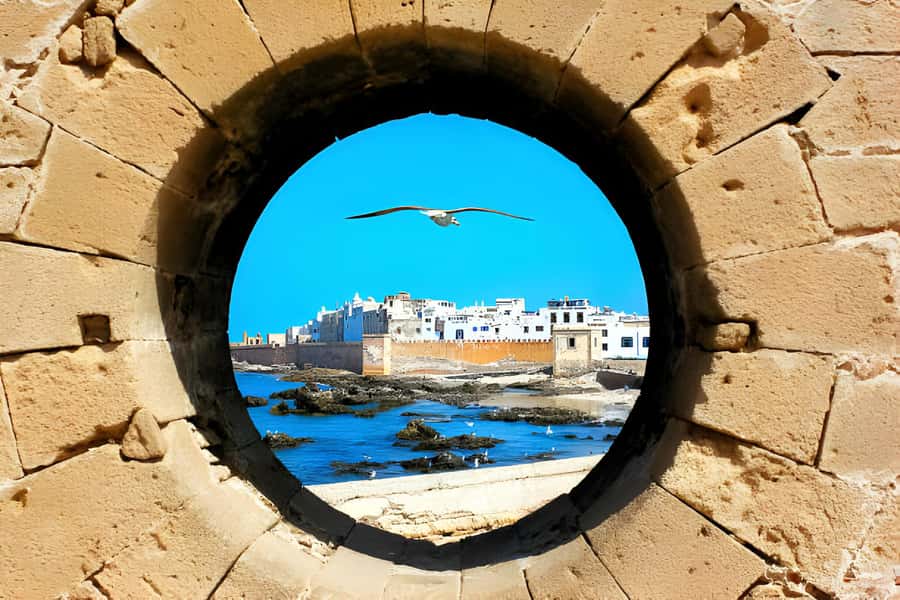 From Marrakech : Full Day Trip to Essaouira - The Atlantic break: beach time and fresh seafood lunch