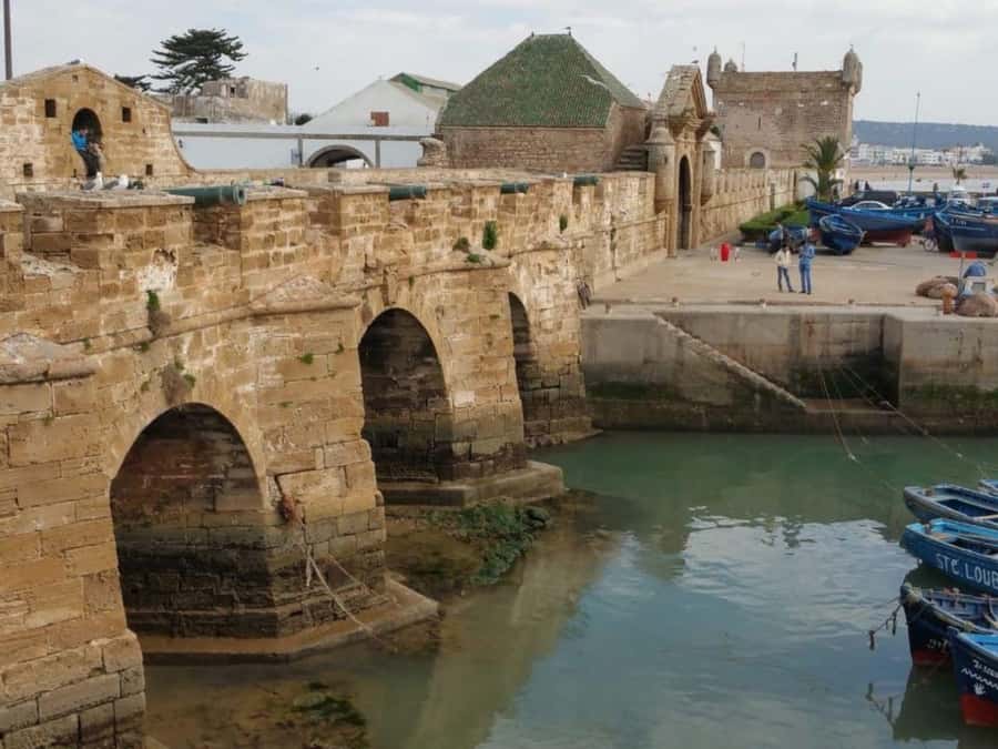 From Marrakech : Full Day Trip to Essaouira - Group size: small enough to feel personal