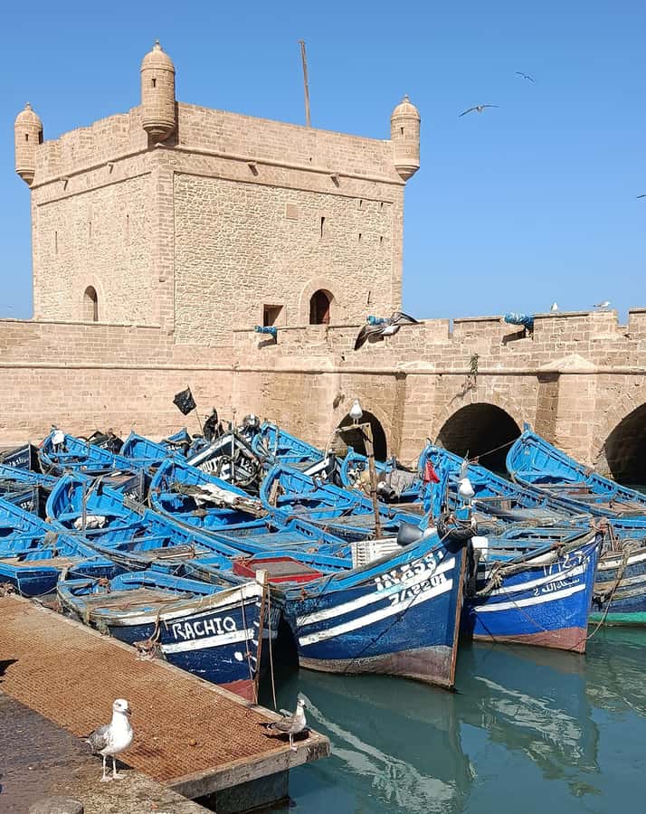 From Marrakech : Full Day Trip to Essaouira - Route timing: what a 9-hour format really feels like