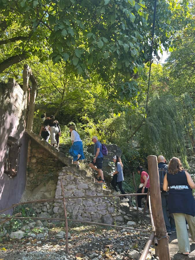 From Marrakech: Guided Ourika Valley with Waterfalls & Lunch - Key takeaways before you go
