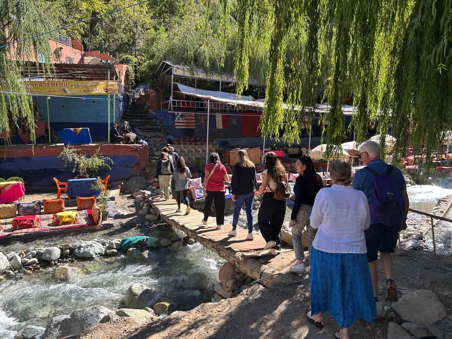 From Marrakech: Guided Ourika Valley with Waterfalls & Lunch - Argan oil co-operative: seeing the work behind the bottles