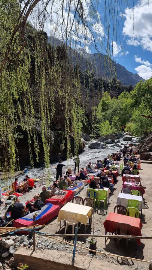 From Marrakech: Guided Ourika Valley with Waterfalls & Lunch - How fit you need to be (and who should skip it)