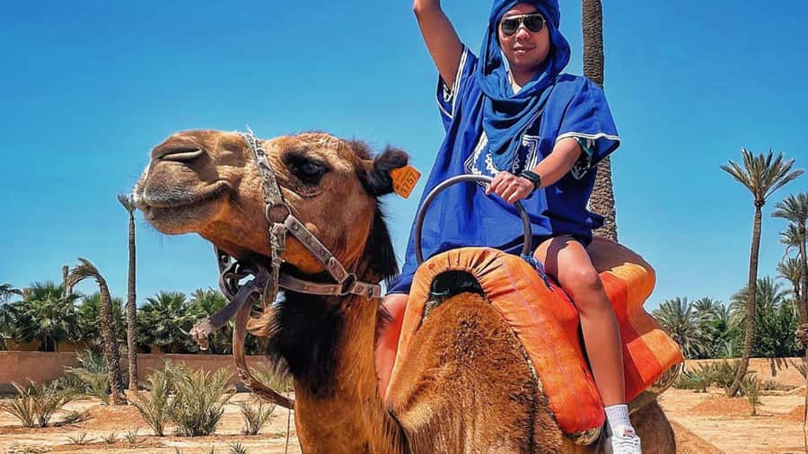 From Marrakech: Half-Day Desert Quad Trip with Camel Ride - Quad biking in Marrakech: helmets, goggles, and a guide who watches the pace