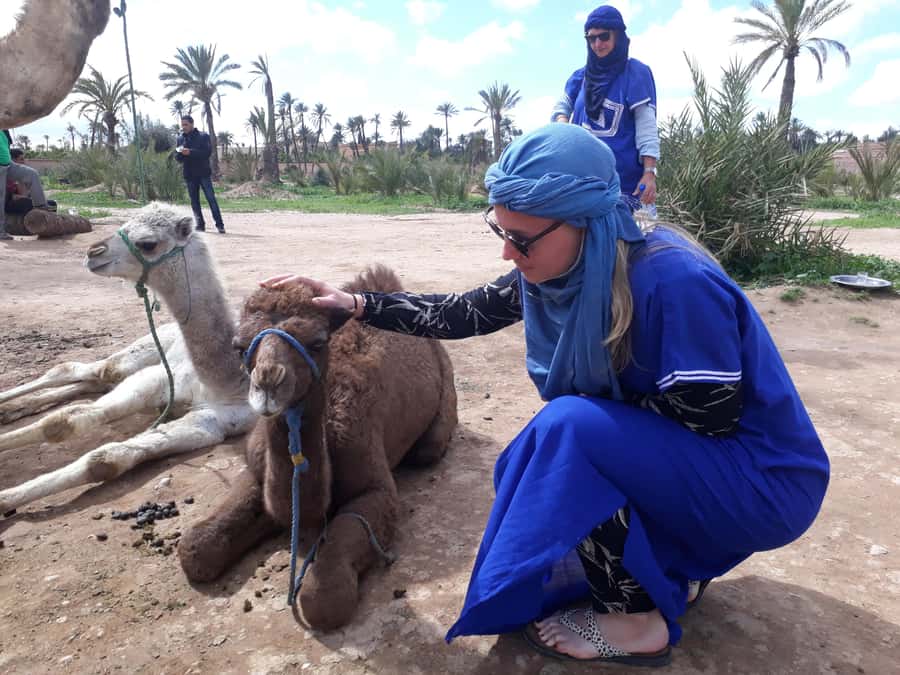 From Marrakech: Half-Day Desert Quad Trip with Camel Ride - Guides make or break it: Tareq, Abderrahman, and why communication matters