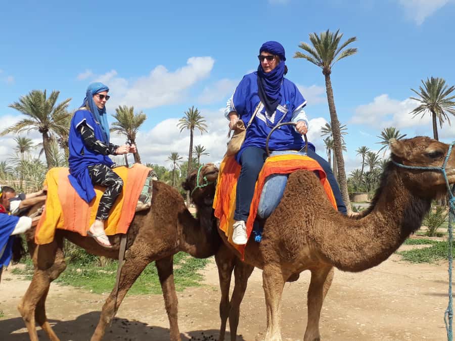 From Marrakech: Half-Day Desert Quad Trip with Camel Ride - Value for $90: what you’re really paying for