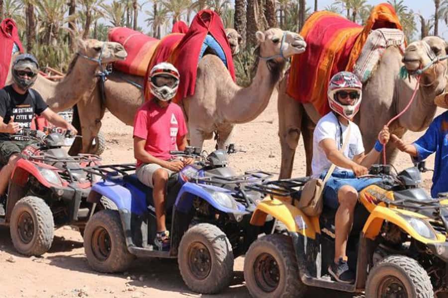 From Marrakech: Half-Day Desert Quad Trip with Camel Ride - The 4-hour flow: how the timing actually works