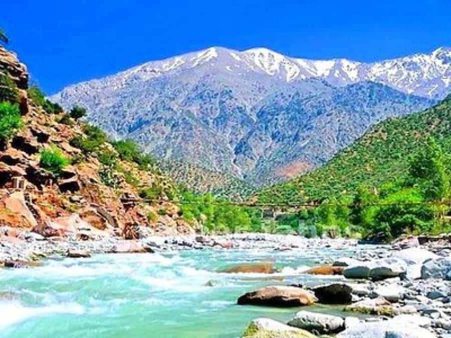 From Marrakech: Half-Day Tour to Atlas Mountains & Ourika - Language support: English, Arabic, and French