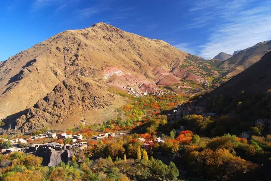 From Marrakech: High Atlas Berber Cooking Class - The cooking part: what you’ll make and what you’ll actually learn
