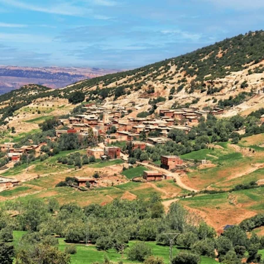 From Marrakech: High Atlas Mountains and 4 Valleys Day Trip - Argan oil extraction with Berber women: more than a demo