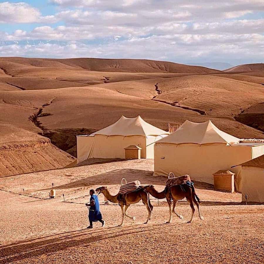 From Marrakech: High Atlas Mountains and 4 Valleys Day Trip - Agafay Desert stop: tea, photos, and a camel ride detour