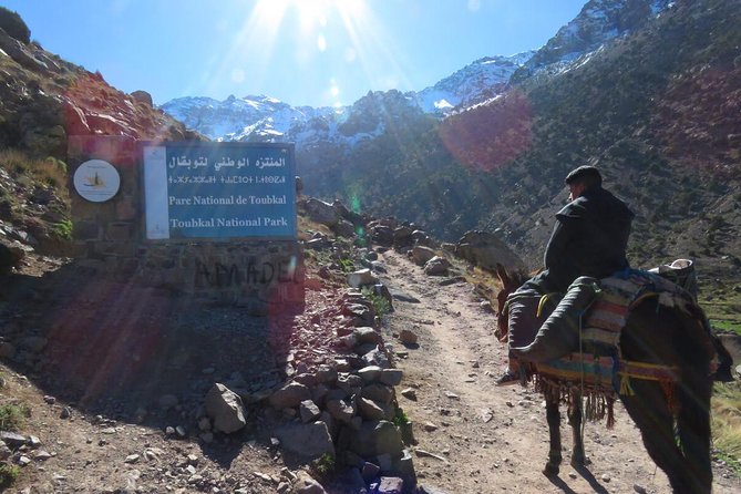 From Marrakech hiking day trip in Imlil Valley and kasbah Toubkal - The Optional One-Hour Armed Walk With a Local Guide