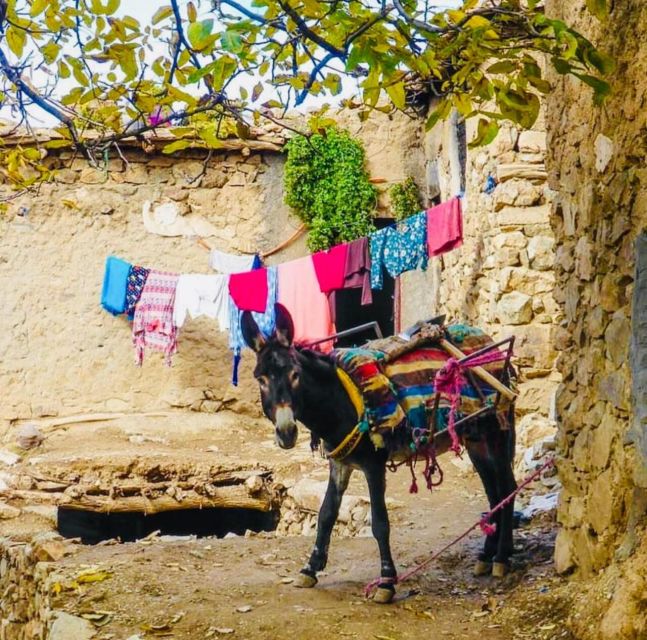 From Marrakech: Imlil Village and Kik Plateau Day Trip - The 1-Hour Mule Ride: Fun, Scenic, and Not Just a Photo Moment